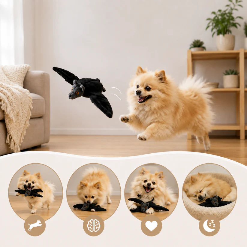 Flying Bat Toy for Dogs