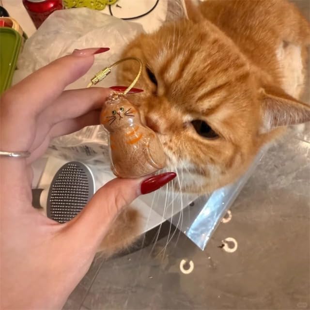 4pcs Cat Hair Collection Bottle Keychain, Pet Memorial Accessory