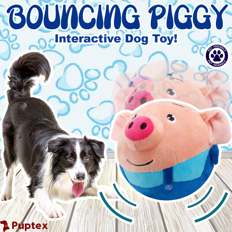 Bouncing Piggy Interactive Dog Toy