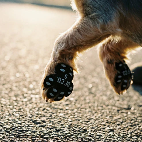 PawShield Dog Paw Protectors