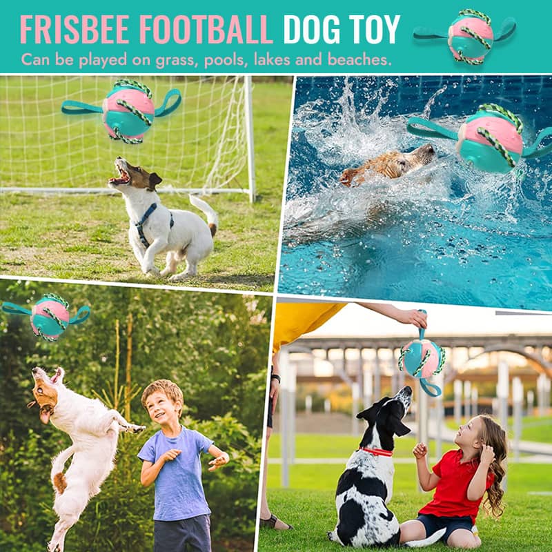 Interactive Flying Disk Ball Dog Toy