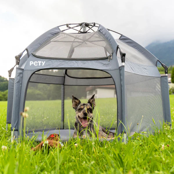 PETY large dog playpen set, with floor mat and roof