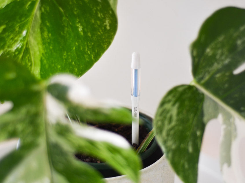 Sustee Moisture Meter - Award Winning Device