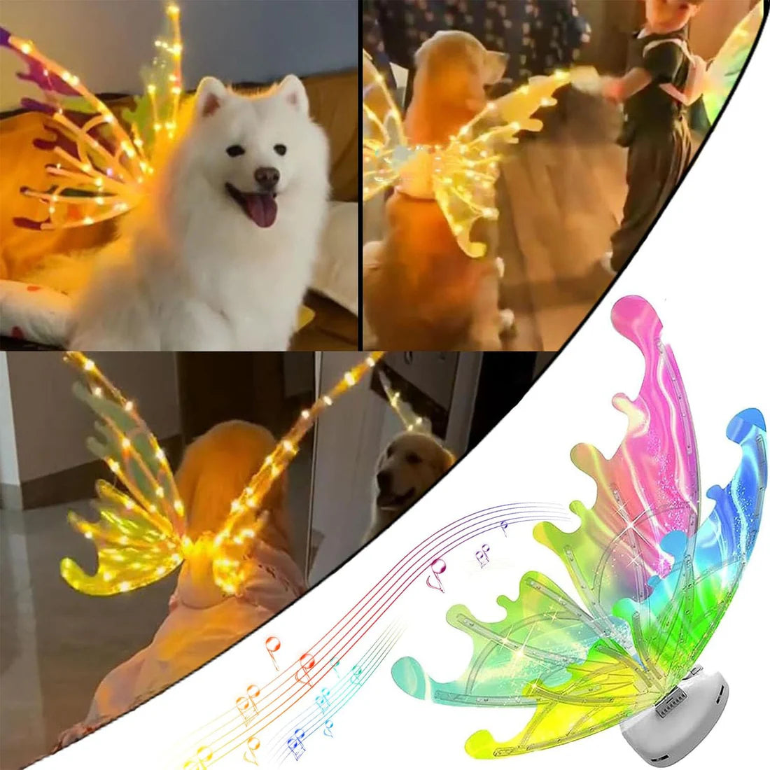 Electric Fairy Wings