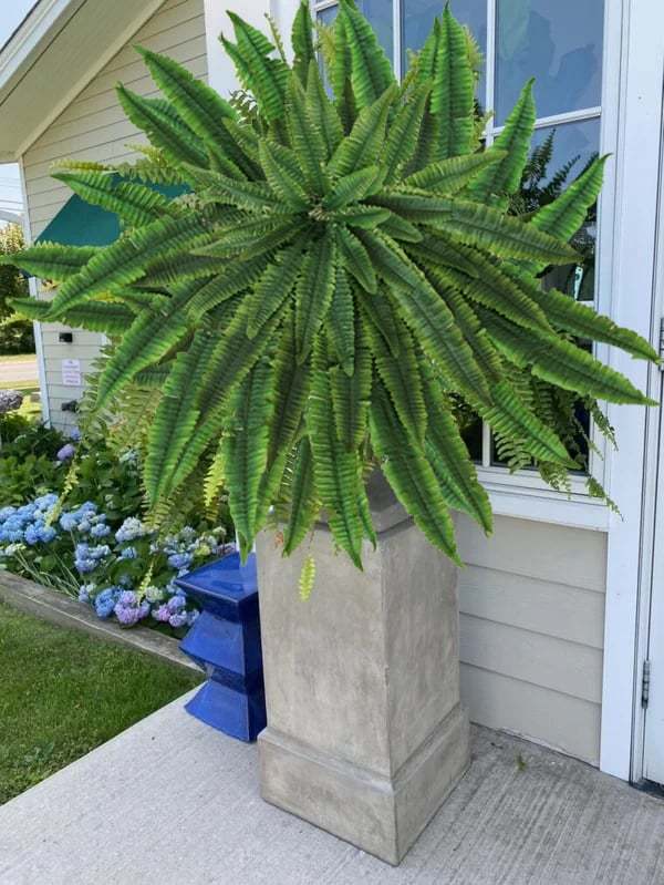 🔥Spring Celebration Exclusive! 🌿Get the UV-Resistant Lifelike Artificial Boston Fern for Just $9.98 🎁 SAVE 75%!