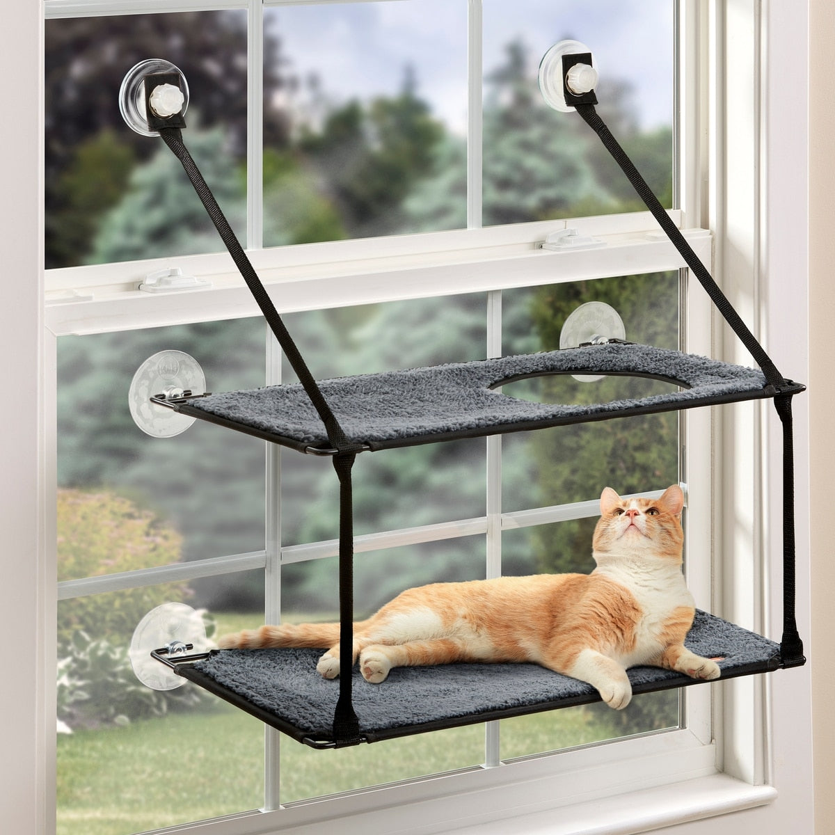 SkyPaws™ Double-Level Cat Window Perch