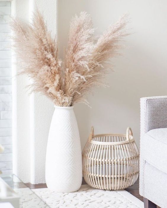 Large Snow White Pampas Grass