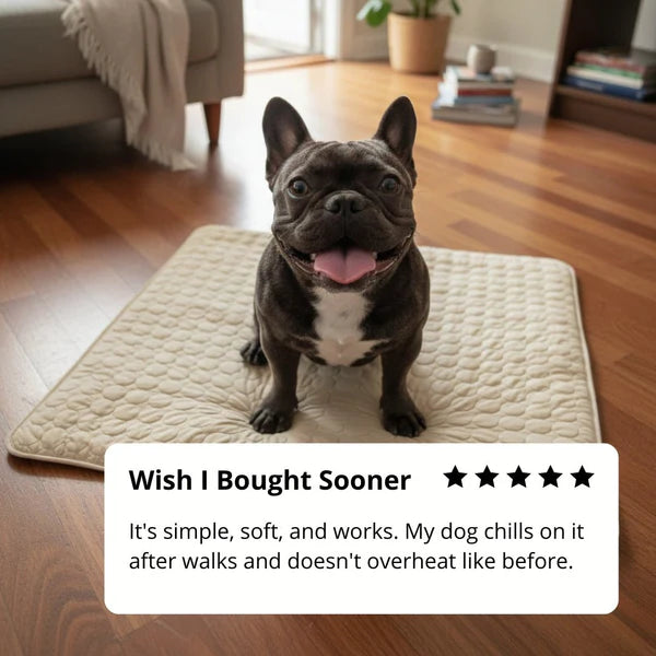 ChillPaws Self-Cooling Pet Mat