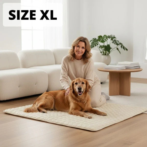 ChillPaws Self-Cooling Pet Mat