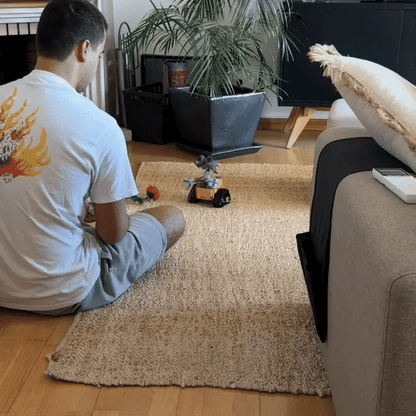 Robot Toy
