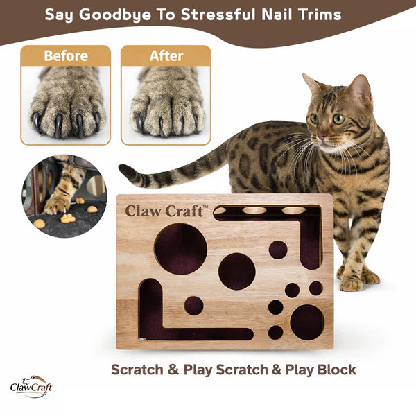 Wooden Cat Scratch & Play Block