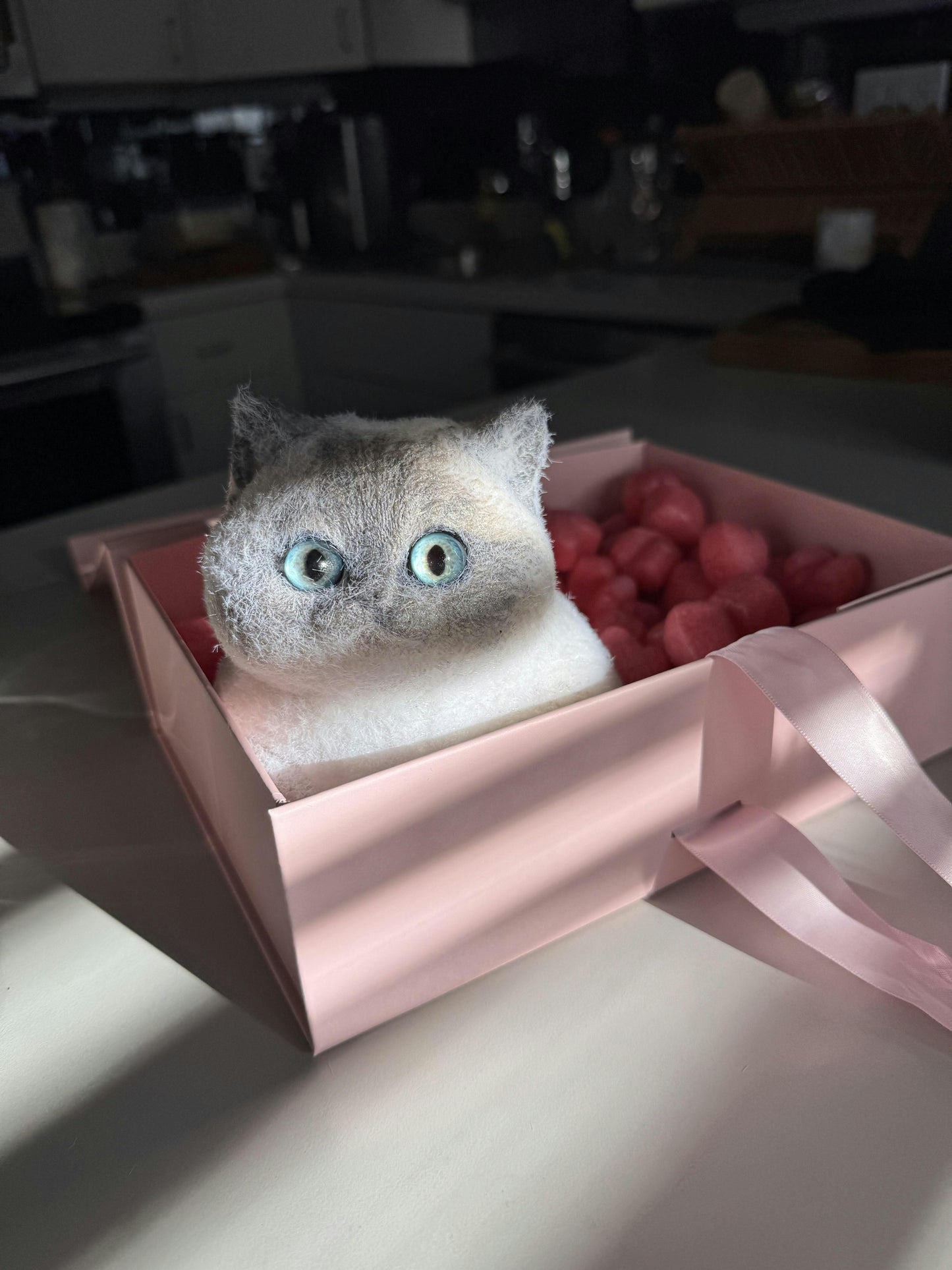 Customized Chubby Big Size Silicone Cat