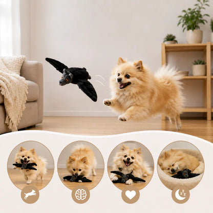 Flying Bat Toy for Dogs