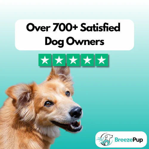CoolPaws™ Evaporative Cooling Dog Vest
