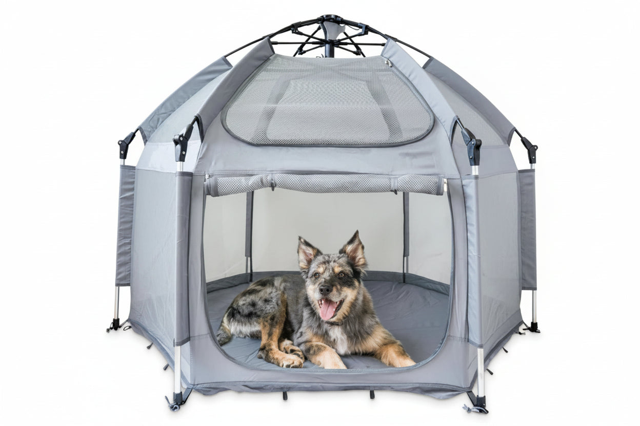 CozyPaws Portable Pet Playpen Set