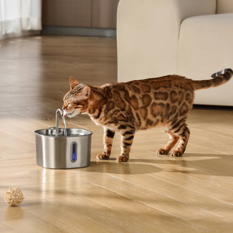 Health & Happiness Cat Water Fountain Kit