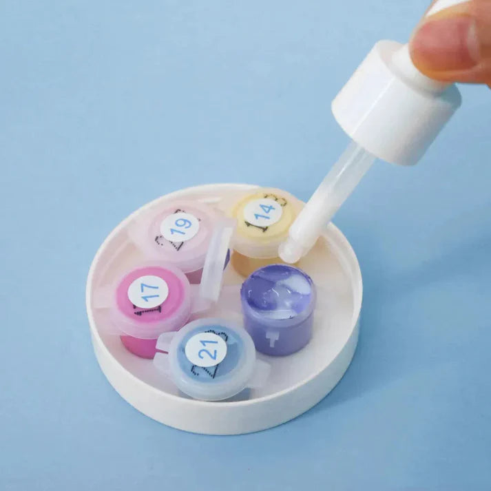Premium Paint by Numbers Kit