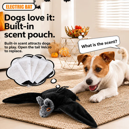 Flying Bat Toy for Dogs