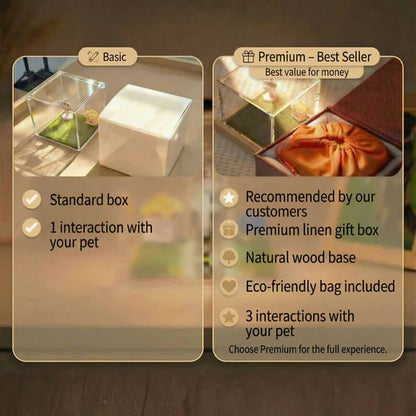 Personalized Holographic Memory