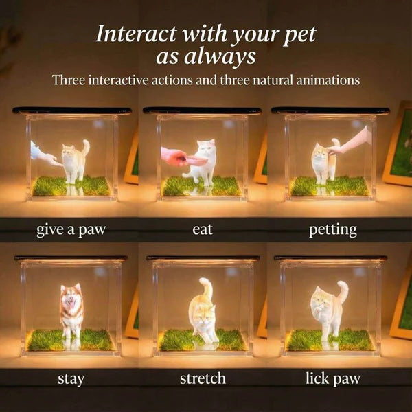 Personalized Holographic Memory