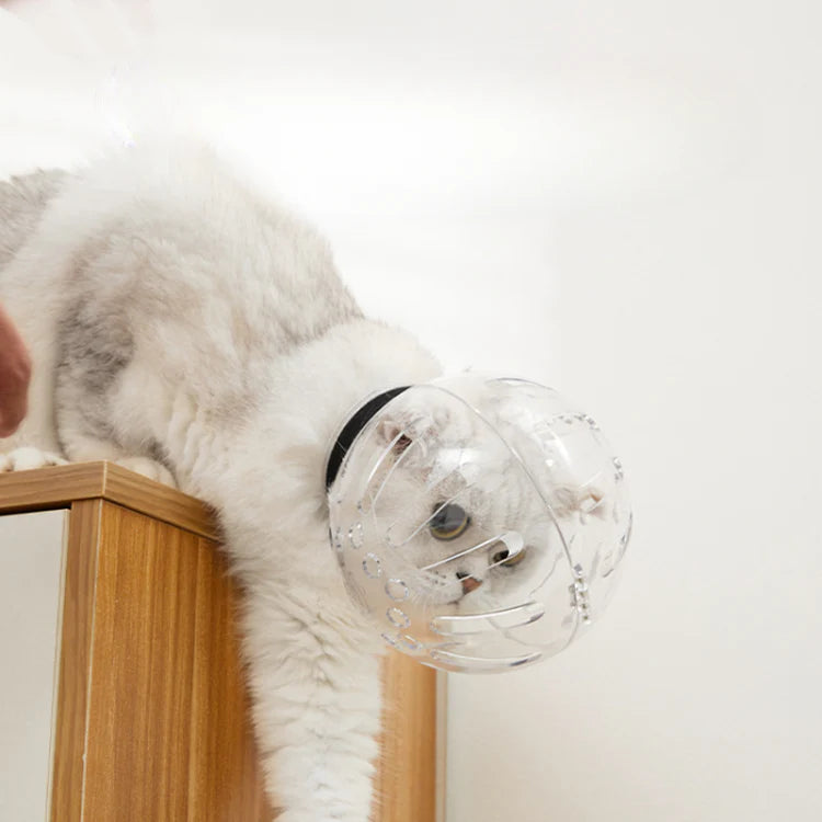 Breathable Cat Muzzle for Grooming Cat Helmet Cat Mouth Cover