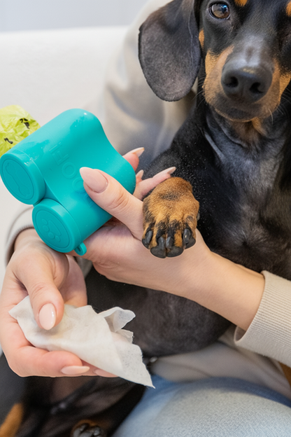 All-in-One Pet Walk Kit
