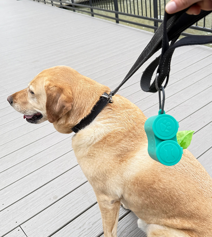 All-in-One Pet Walk Kit