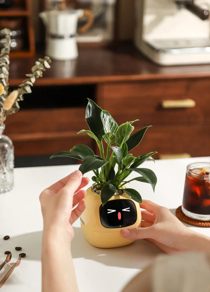 AI Smart Planter