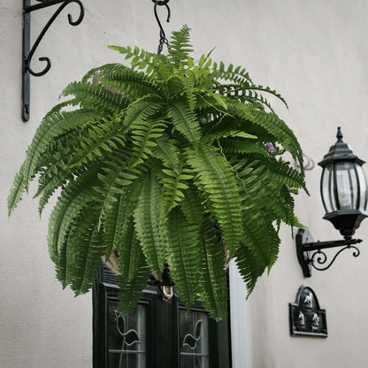 🔥Spring Celebration Exclusive! 🌿Get the UV-Resistant Lifelike Artificial Boston Fern for Just $9.98 🎁 SAVE 75%!