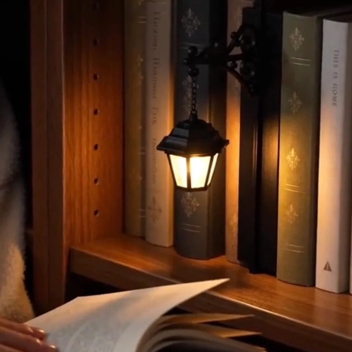 Vintage Bookshelf Lantern Light