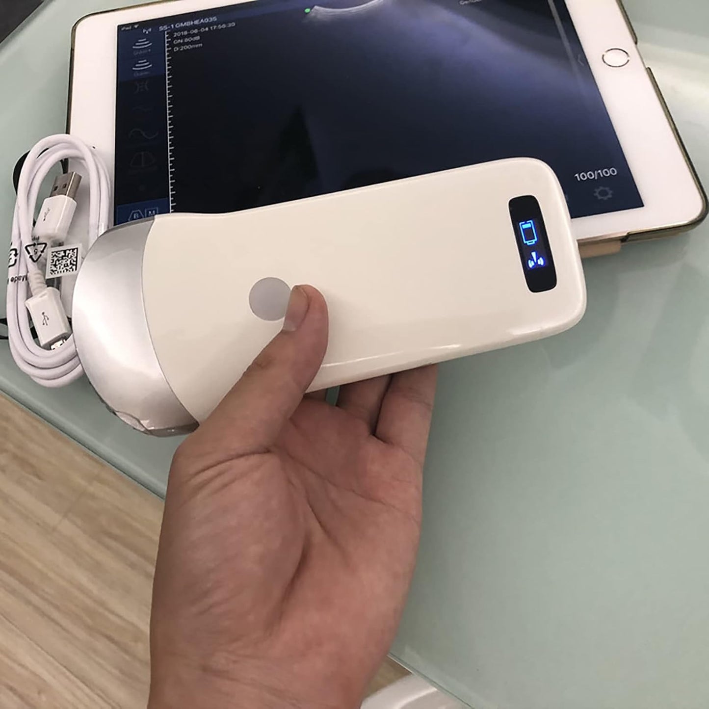 Portable Wireless Veterinary Ultrasound Scanner for Pregnancy Diagnosis – Handheld Probe Compatible with iOS & Android, for Pigs and Sheep
