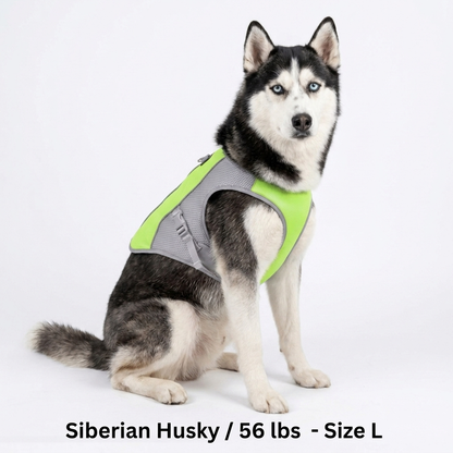 CoolPaws™ Evaporative Cooling Dog Vest