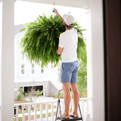 🔥Spring Celebration Exclusive! 🌿Get the UV-Resistant Lifelike Artificial Boston Fern for Just $9.98 🎁 SAVE 75%!