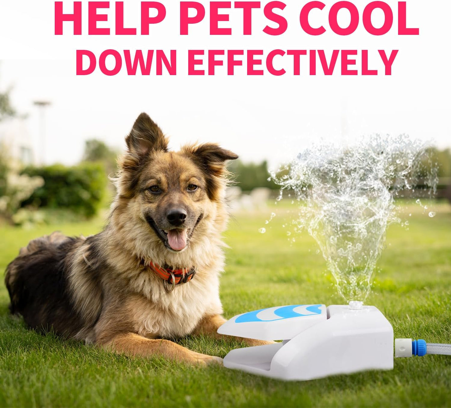 Paw Activated Dog Water Fountain – Outdoor Step-On Water Sprinkler for Dogs