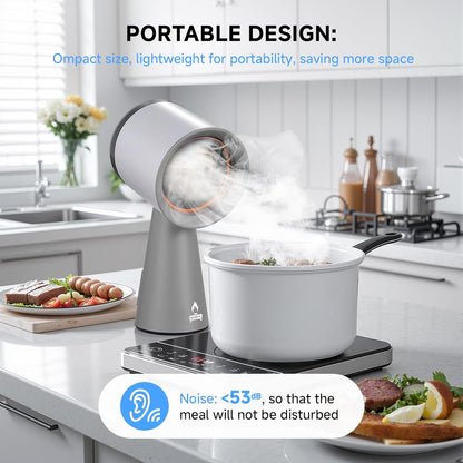 Portable Range Hood 3