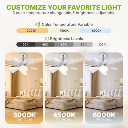 Socket Fan Light – 2-in-1 Ceiling Fan with Integrated Light and Remote Control