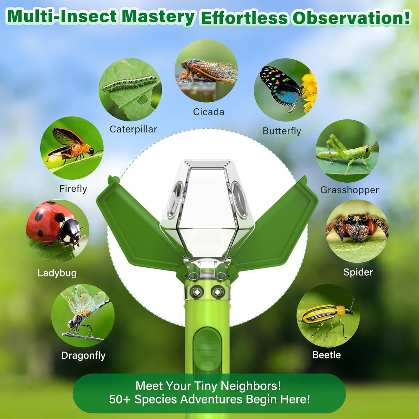 Bug Catcher for Kids