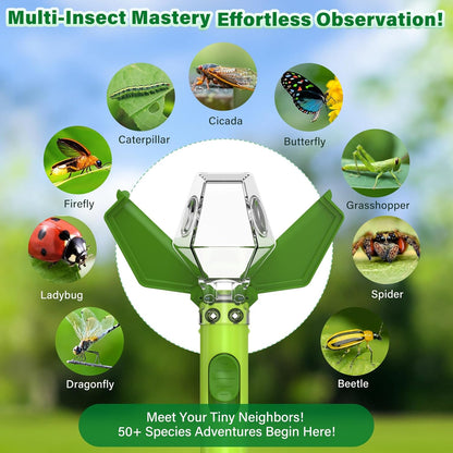 Bug Catcher for Kids