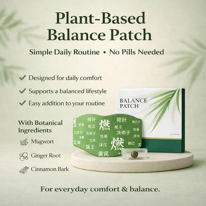 Hanpo Japanese Herbal Balance Patch 2 Boxes, 10 Patches (2)
