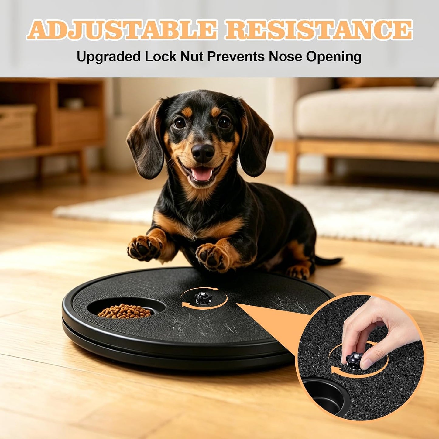 PawSpin 3-in-1 Dog Nail Scratch Board