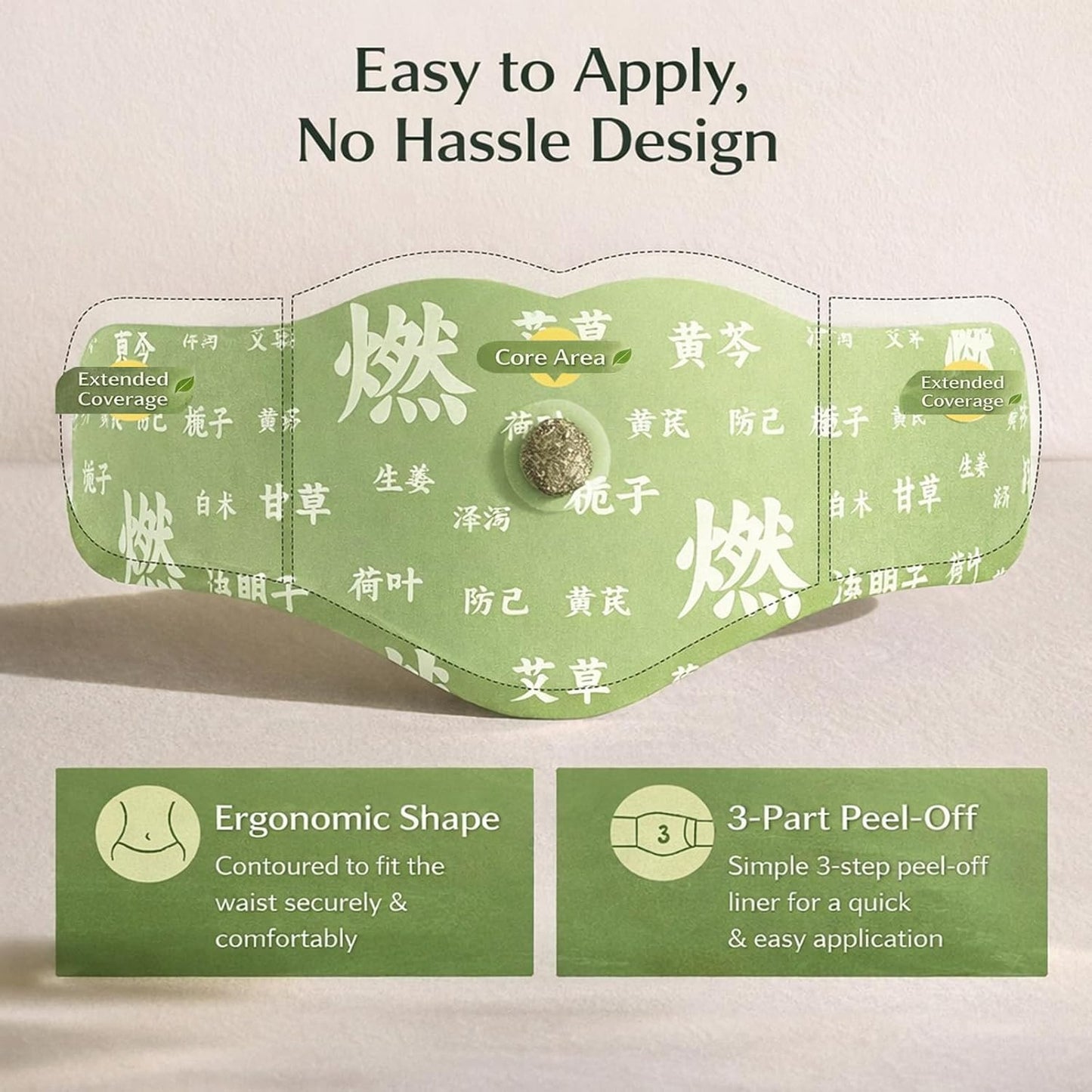 Hanpo Japanese Herbal Balance Patch 2 Boxes, 10 Patches (2)