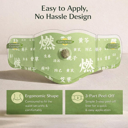 Hanpo Japanese Herbal Balance Patch 2 Boxes, 10 Patches (2)