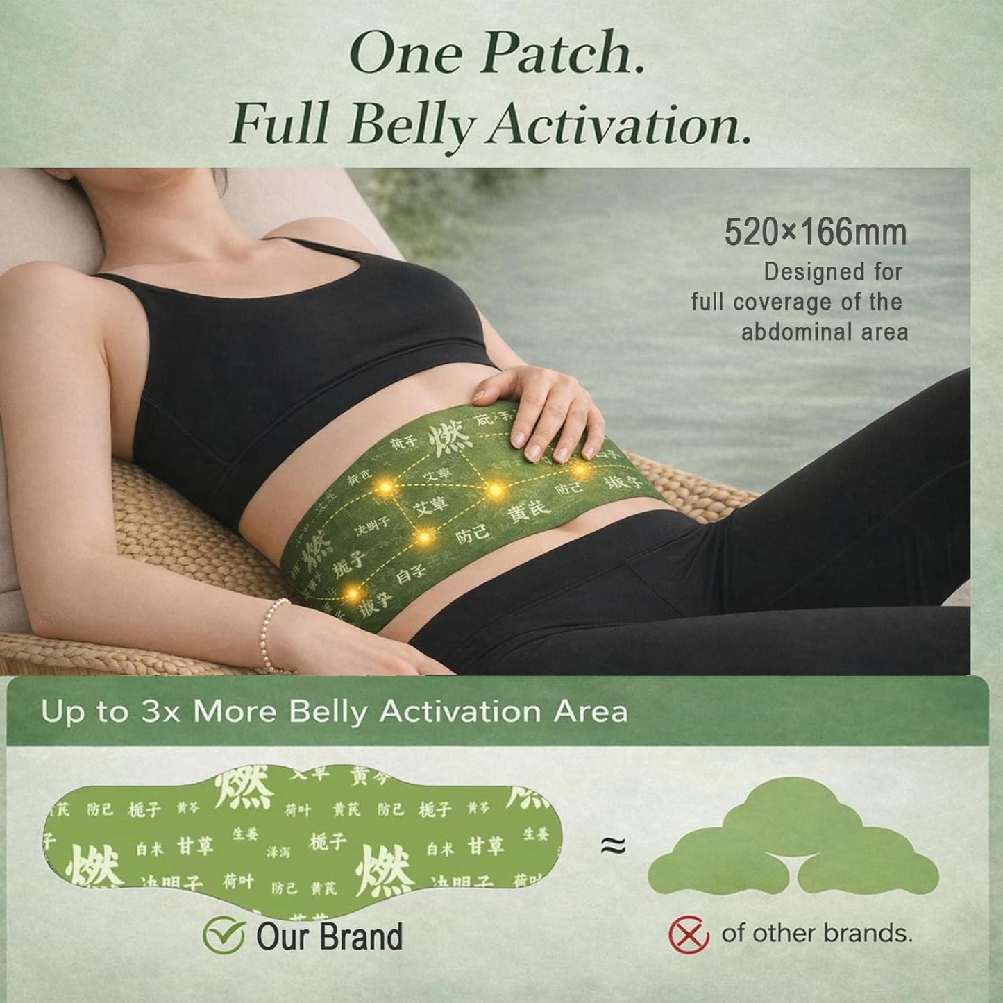 Hanpo Japanese Herbal Balance Patch 2 Boxes, 10 Patches (2)