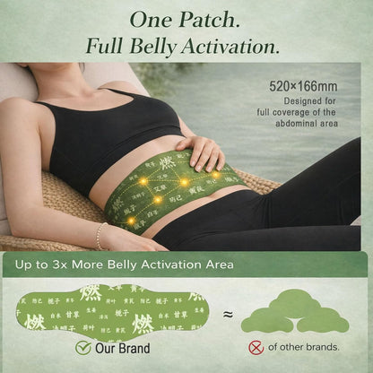 Hanpo Japanese Herbal Balance Patch 2 Boxes, 10 Patches (2)