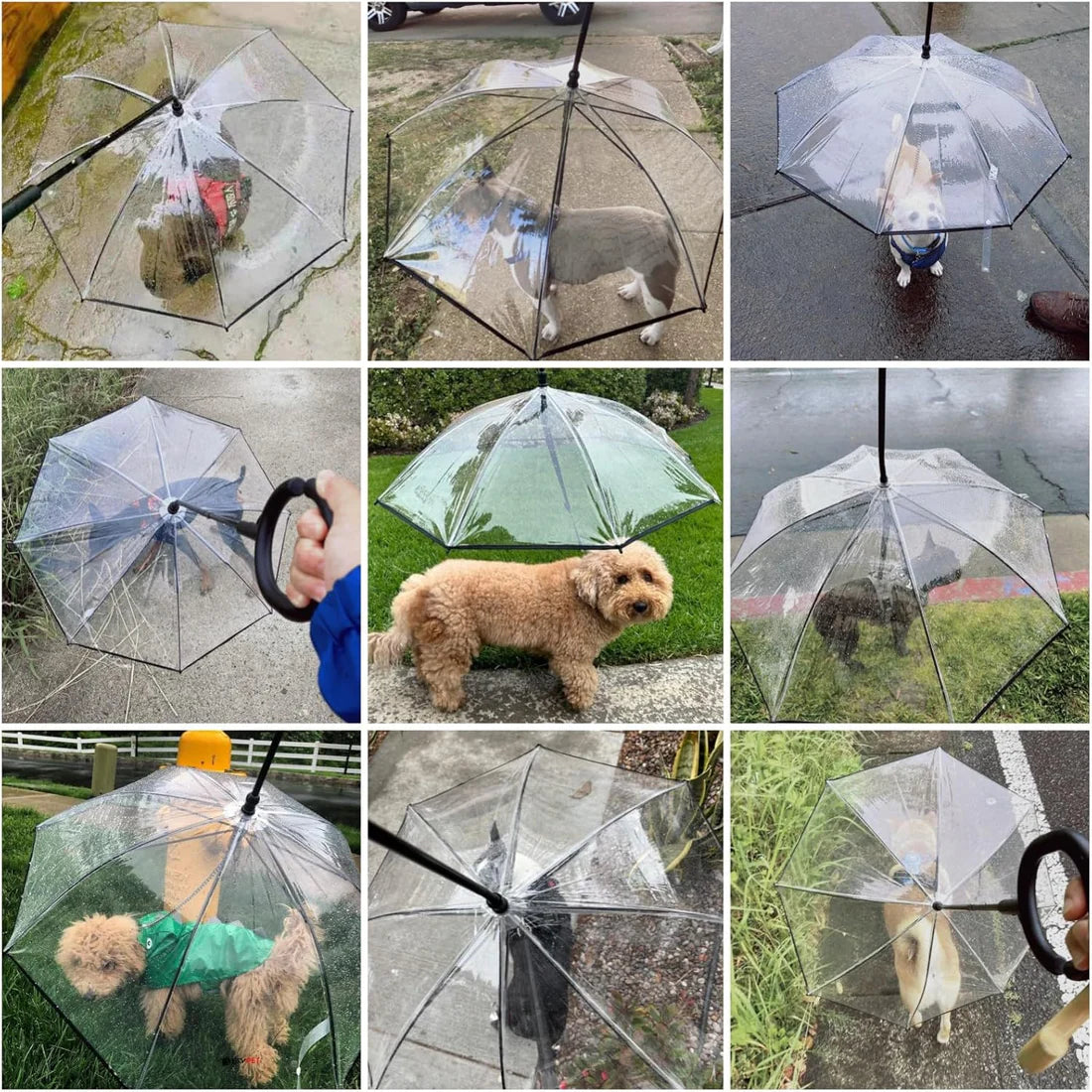 Pet umbrella