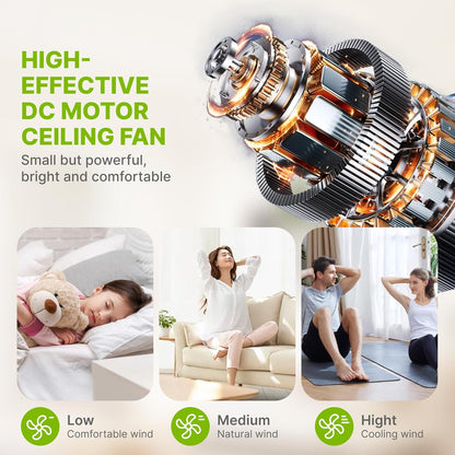 Socket Fan Light – 2-in-1 Ceiling Fan with Integrated Light and Remote Control
