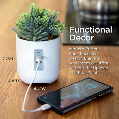 Modern Plant Charging Hub