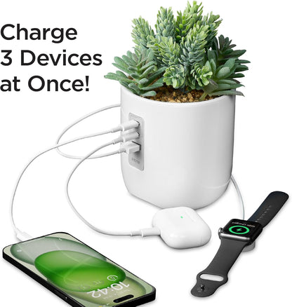 Modern Plant Charging Hub