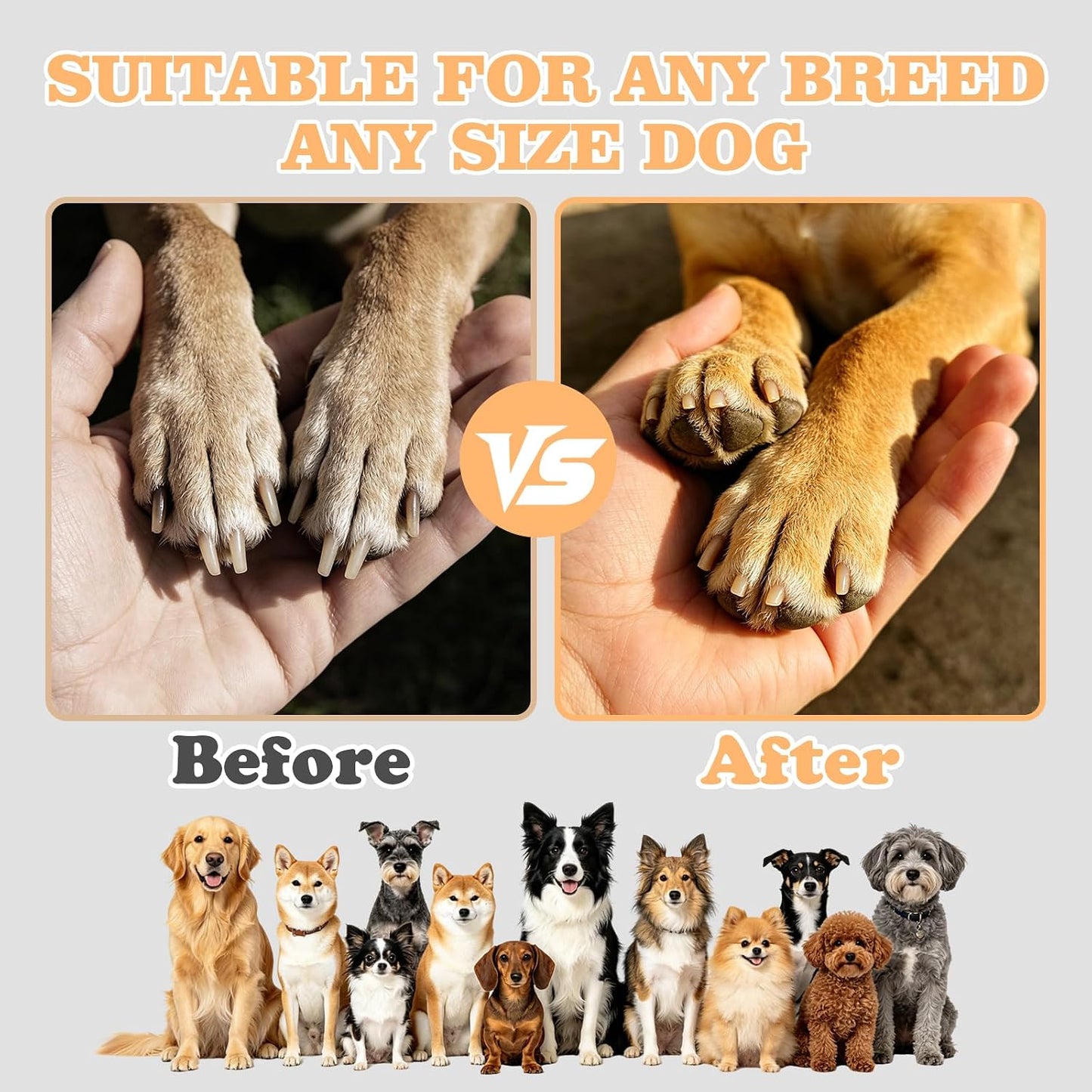 PawSpin 3-in-1 Dog Nail Scratch Board