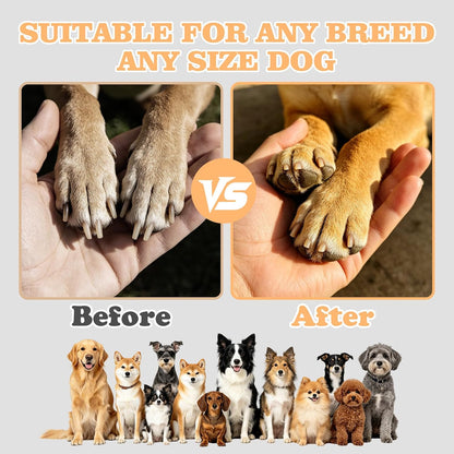 PawSpin 3-in-1 Dog Nail Scratch Board